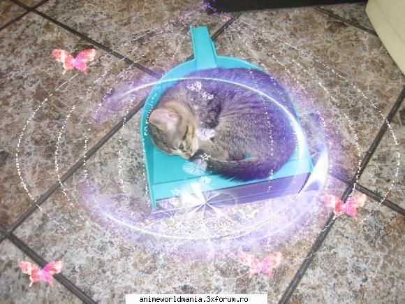 animalele noastre - Strawberry_Zoey - Cafenea